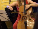 Henriette-Luise Knauer